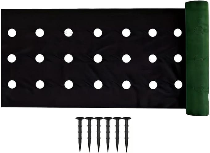 Worteldoek - Bodembedekker - Tuinonderhoud - Geperforeerd - 6x1 m - Zwart