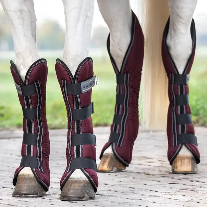 Transportlaarzen voor paarden Kavalkade (x4)
