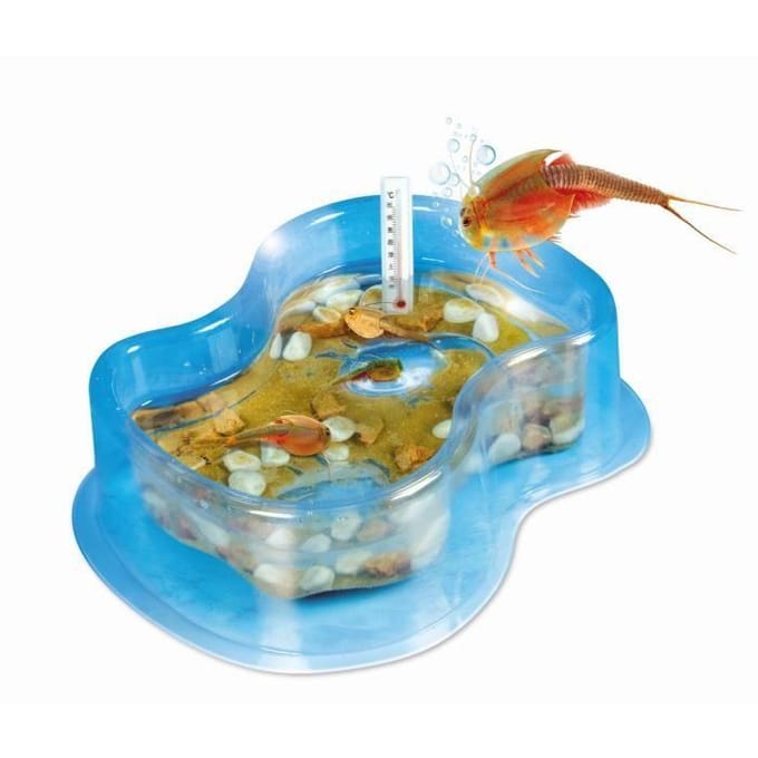 Mijn eerste triops - Clementoni - Wetenschap & Spel - Wetenschappelijke Spellen