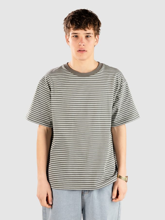 Blue Tomato Striped T-Shirt groen