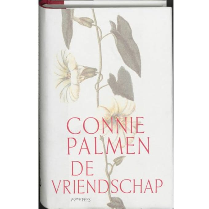 De Vriendschap - Connie Palmen