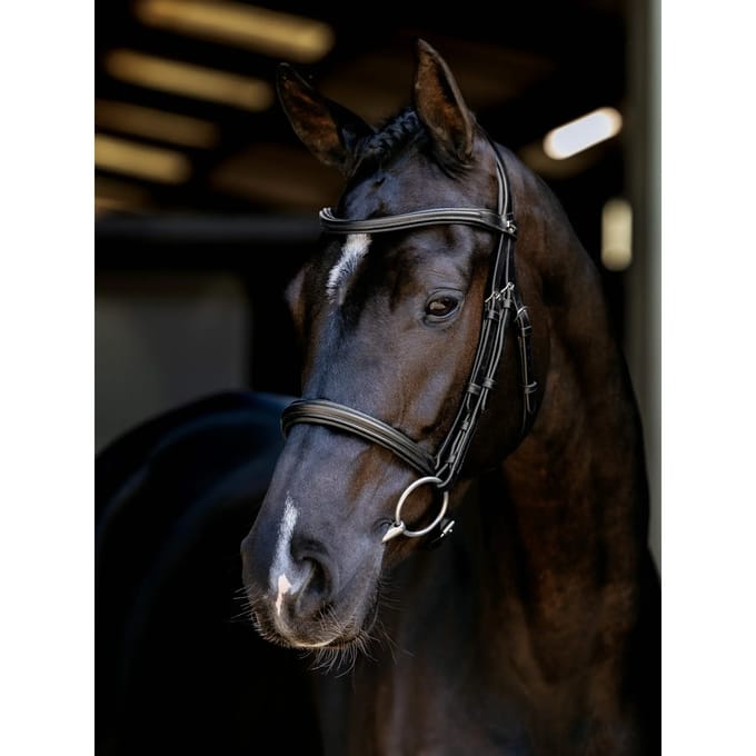 LeMieux Arika Cavesson Hoofdstel Full Zwart/Zilver