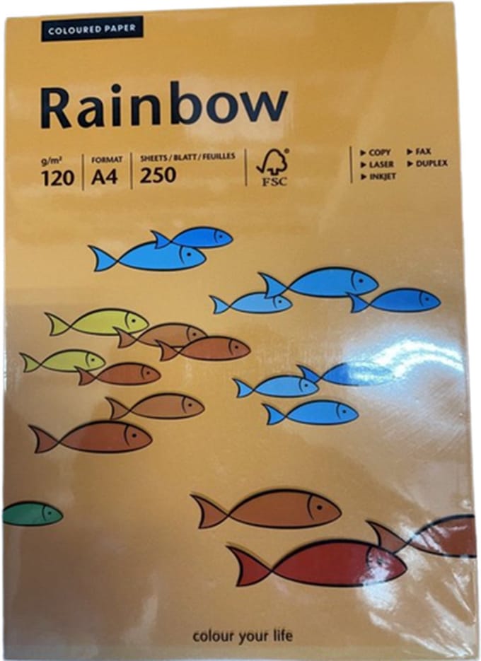 Papyrus Rainbow 120gram kl-24 oranje
