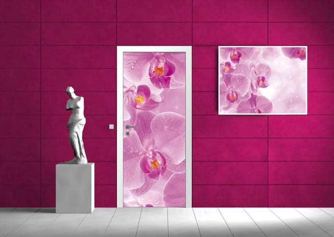 Flowers Orchids Photo Wallcovering