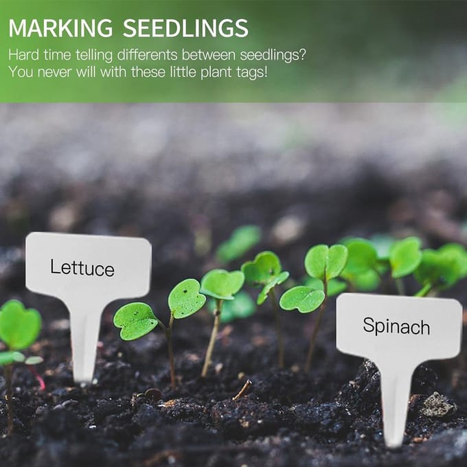 100 stuks PVC Tuinlabels Wit Tuinieren Plant Sorteren Bordje Label Ticket Plastic Schrijfbord wit