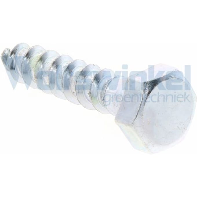 Hoenderdaal houtdraadbout gegalvaniseerd 10 x 50 mm din 571 - doos à 100 stuks