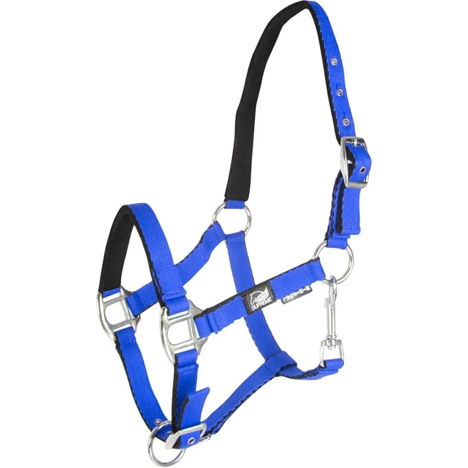 Halsband voor veulen met dubbele afstelling Supreme