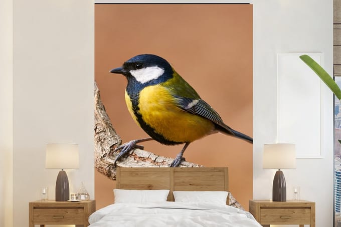 Behang - Fotobehang Vogel - Koolmees - Takken - Breedte 155 cm x hoogte 240 cm