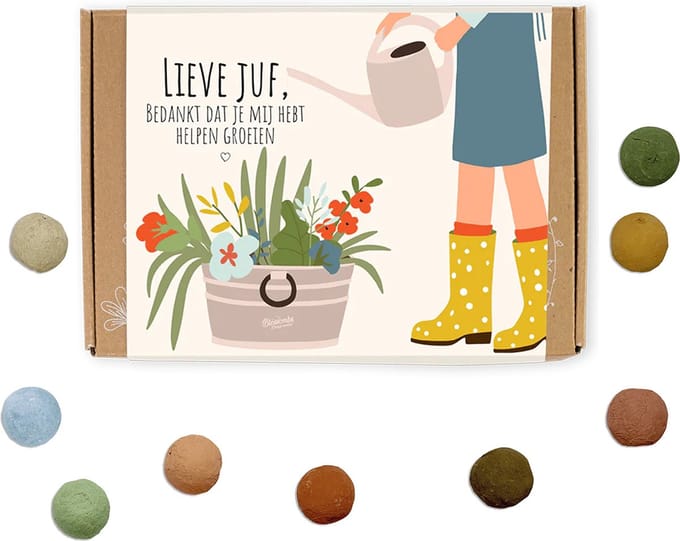 Blossombs Bloembommetjes Giftbox Small - 7 Zaadbommetjes - Lieve Juf - Cadeau