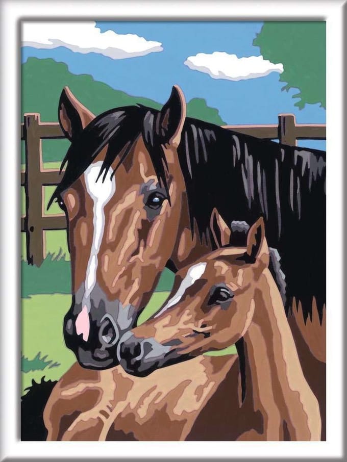 Schilderen op Nummer met Paarden Motief en Stickerbogen