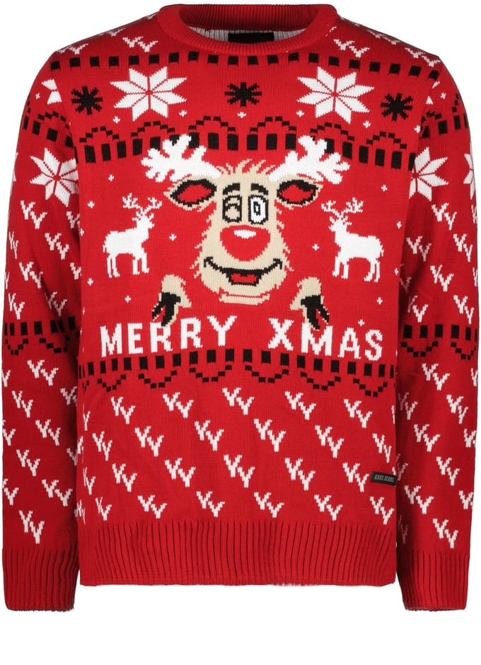 Cars Jeans Kersttrui Rudy - Heren