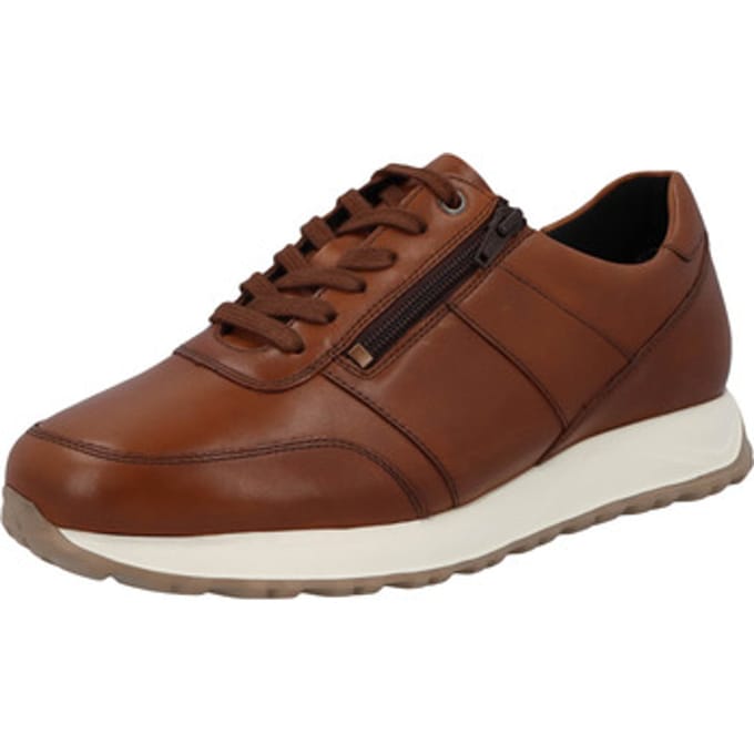 Sneakers Solidus Harry H