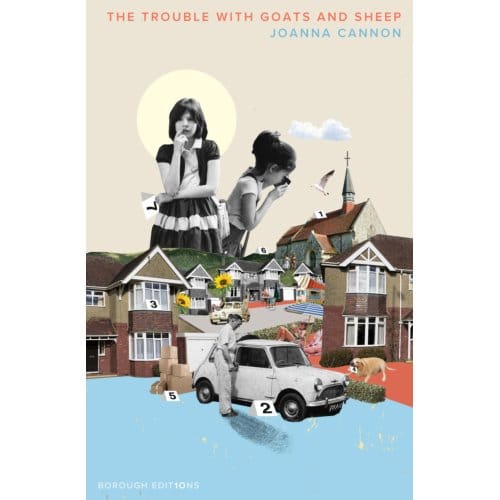 The Trouble With Goats And Sheep - Joanna Cannon