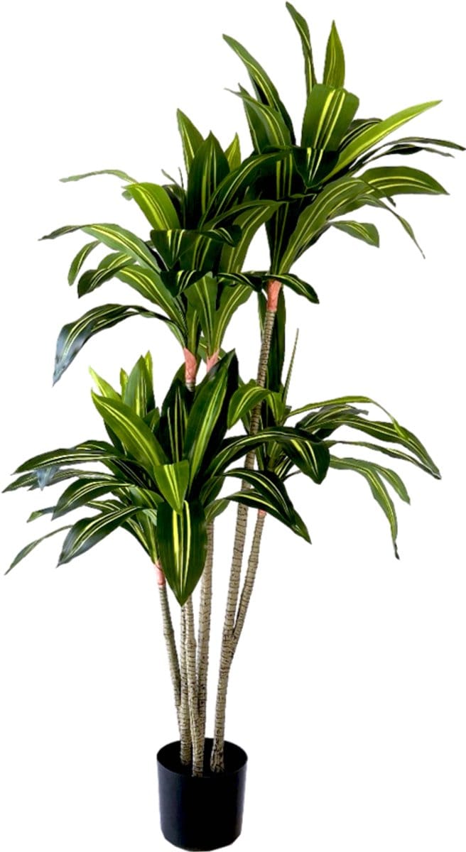 Neverleafs Kunstplant Dracaena Fragnans - 150cm