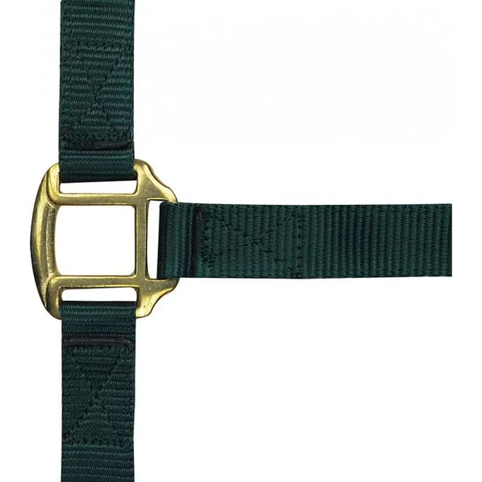 Halster voor paarden Norton Doublé cuir