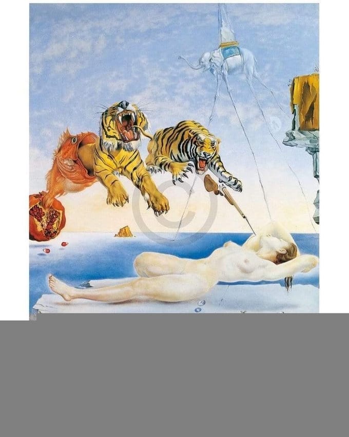 Kunstdruk Salvador Dali - Une seconde avant l'eveil 60x80cm
