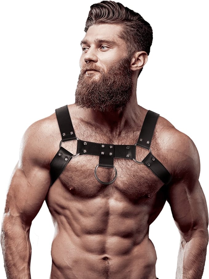 FETISH SUBMISSIVE ATTITUDE | Fetish Submissive Attitude - Eco Leather Chest Strap Harness Men