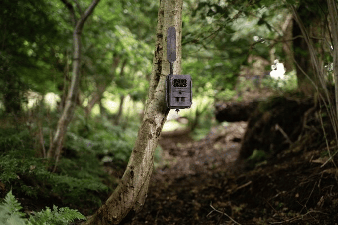 Seissiger Base-Cam LTE Supersim-Edition Wildcamera 12 MP IP67 Met App En 25 m Bereik