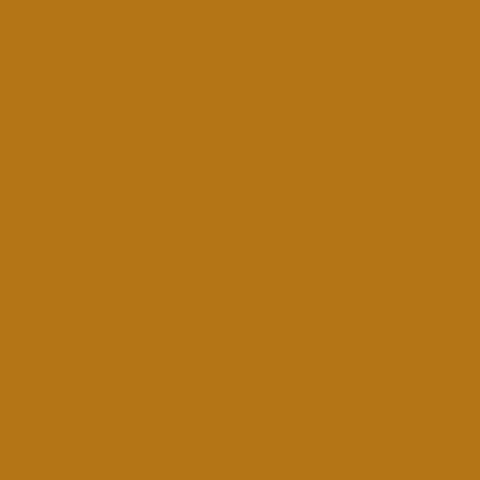Rembrandt Olieverf Tube 40 ml Sienna Naturel 234