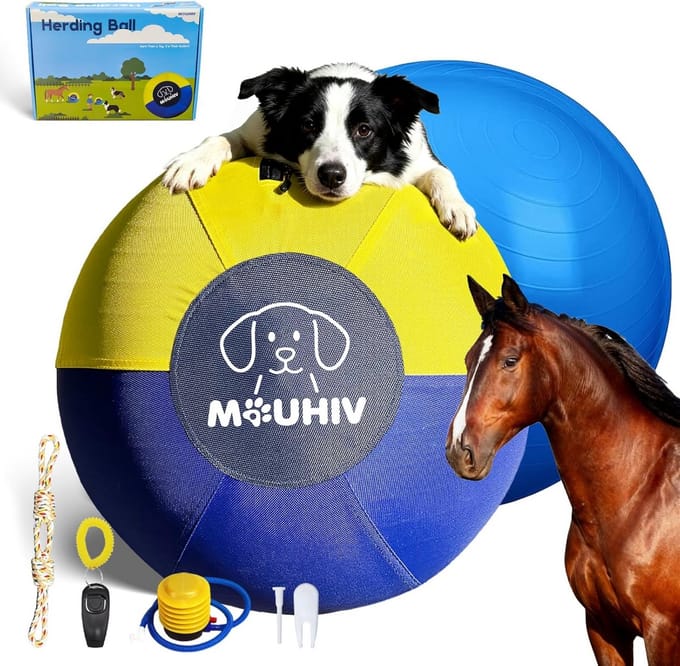 Grote Hondentrainingsbal (63 cm) - Interactief Speelgoed voor Honden en Paarden