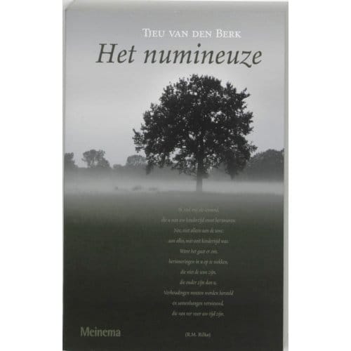 Het Numineuze - T. van den Berk