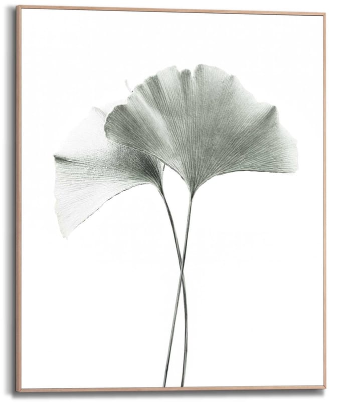 Schilderij Ginkgo Blad - 50 x 40 - Hout - REINDERS