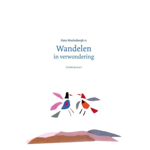 Wandelen In Verwondering - Hans Moolenburgh Sr.
