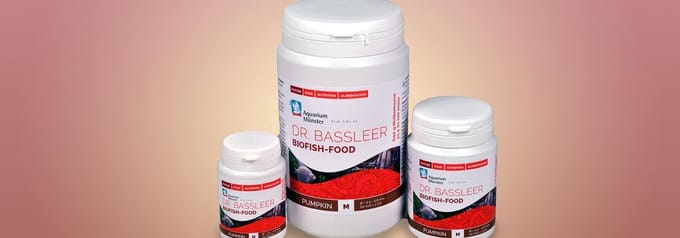 Pumpkin - Dr. Bassleer BioFish Food M 60gr
