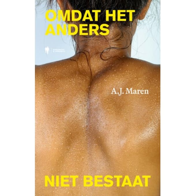 Omdat Het Anders Niet Bestaat - A.J. Maren