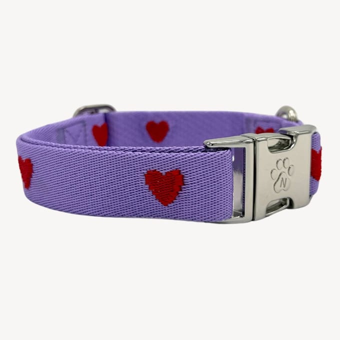 Hearts - Hartjes - Paars - Halsband Hond - M- 36 / 52 cm