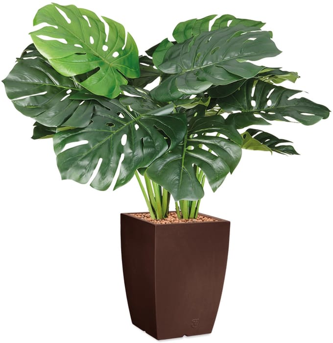 HTT - Kunstplant Monstera in Genesis vierkant bruin H90 cm