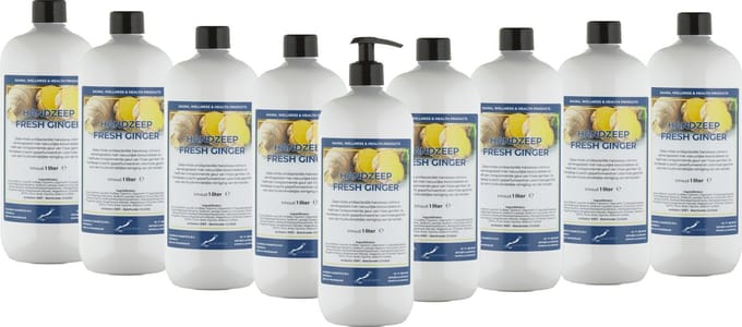 Handzeep Fresh Ginger 1 liter - met gratis pomp - set van 5 stuks - Voordeelverpakking