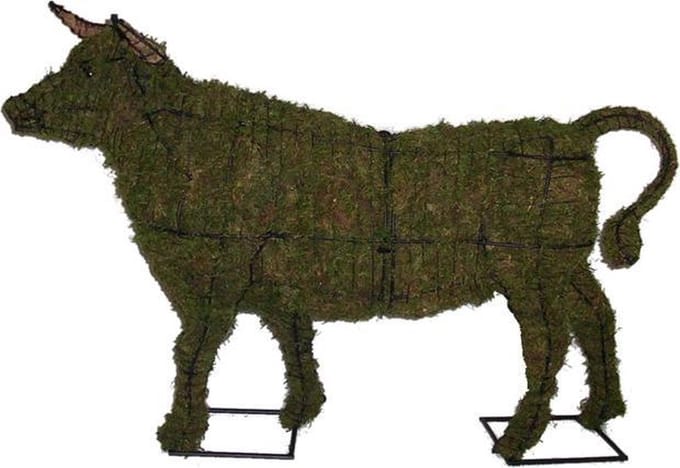 Stier - Mos