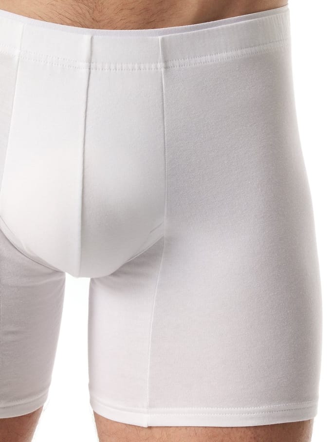 Schiesser Trunk Premium Cotton