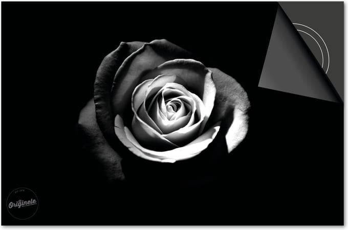 Inductie Beschermer Zwart Roos print Exclusief 76x51,5cm
