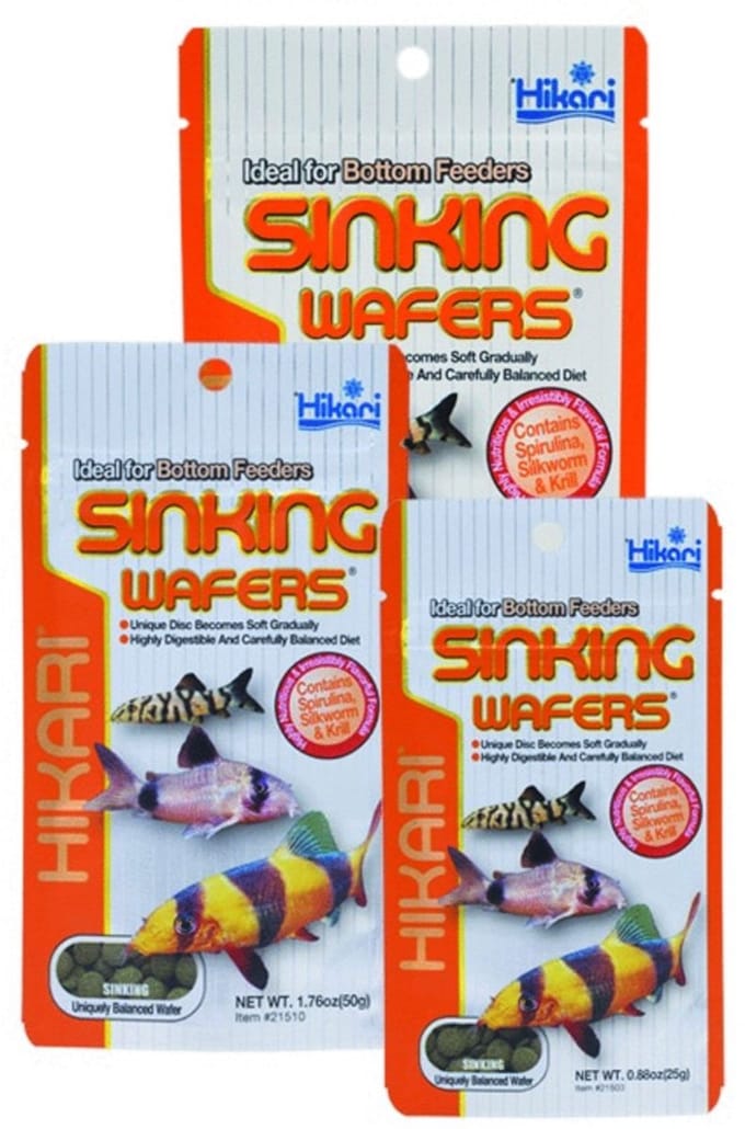 Hikari Sinking Wafers - Vissenvoer - 50 g