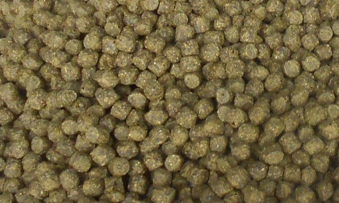 spirulina koi voer 6mm. 12kg.