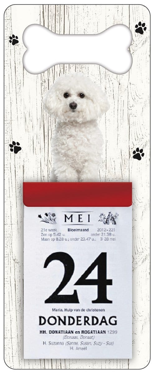 Scheurkalender 2027 Hond: Bichon Frisé
