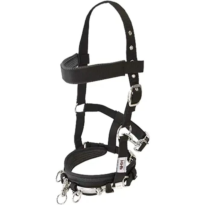 Nylon Engelse Paardenhalster Hispano Hipica