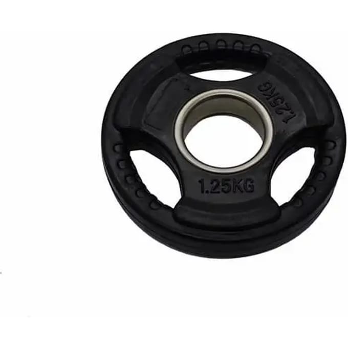 Set van 2 extra schijven voor bodybuilding Fit & Rack
