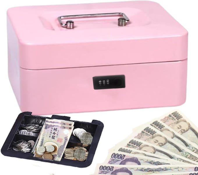 Draagbare Kluis - Reis Safe Box - Veilig Opbergen - Code Wijzigbaar - 20 x 16 x 9 cm - Roze