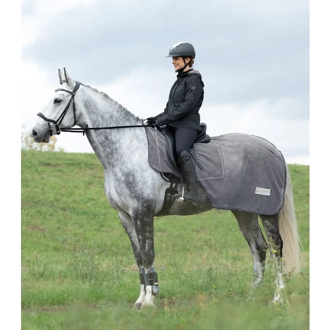 Paardenvliegendeken Waldhausen Comfort