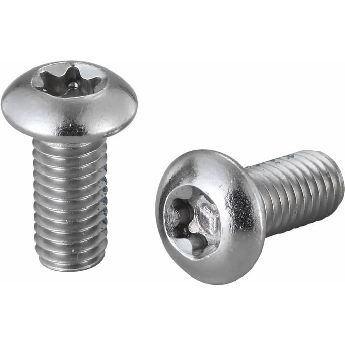 Elvedes Schijfrem Bouten 100 Stuks 13 X 6 Mm Zilver