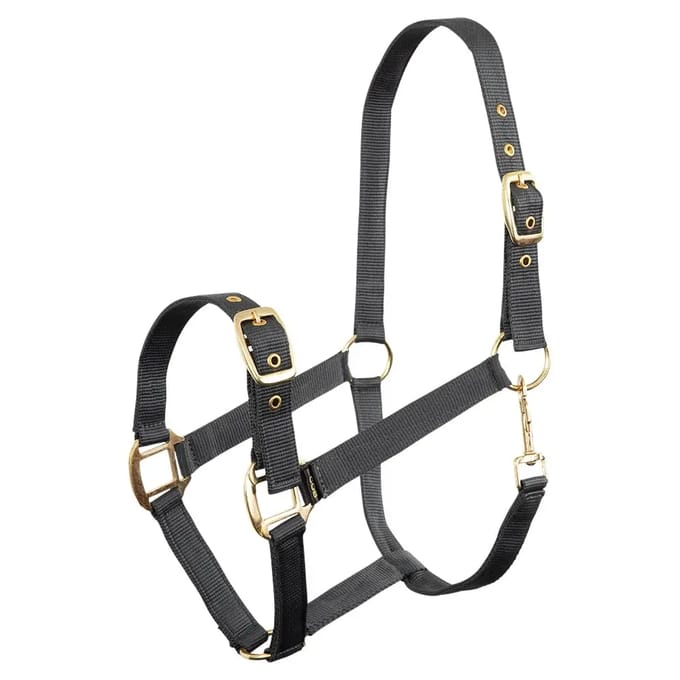 Polypropyleen halster Premiere Equitation