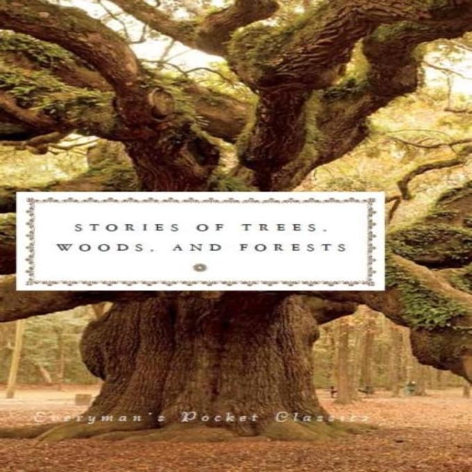 Verhalen over Bomen Bosjes en Bossen Hardcover Boek 9781841596310
