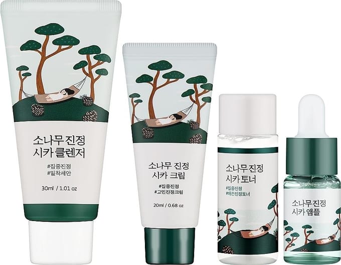 Round Lab Travel-Friendly Mini Skincare Kit Pine Calming Cica Trial Kit gray