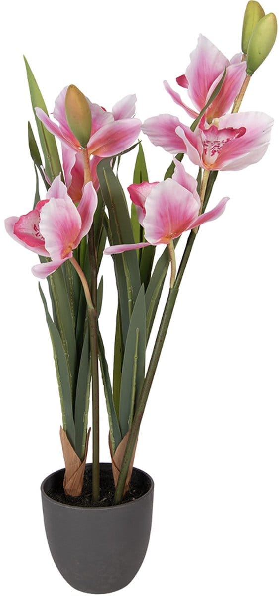 Clayre & Eef Kunstplant 14x14x55 cm Roze Kunststof