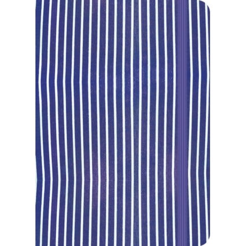 Carmyne's Journal A5 Tomoe River Notitieboek - Blue Stripes