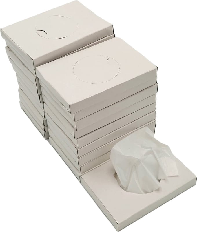 WillieJan dames Hygiënezakjes – Navullingen – 20 Doosjes met elk 25 stuks