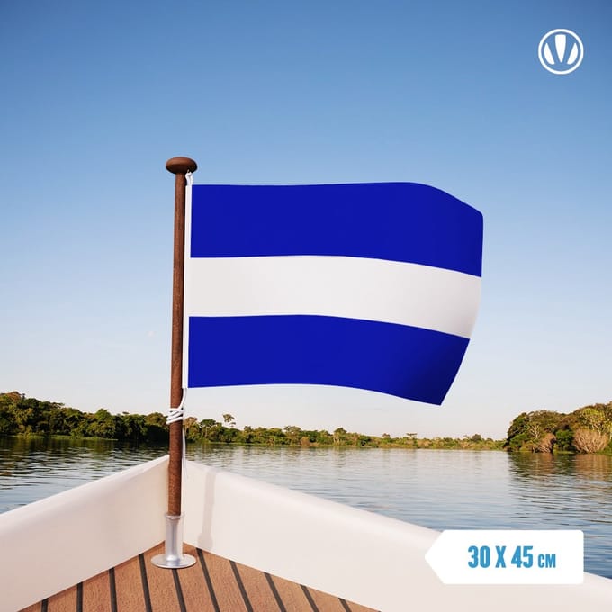 Vlag Almelo 30x45cm
